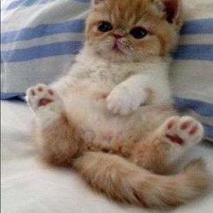 Meet your Posher, Meredith